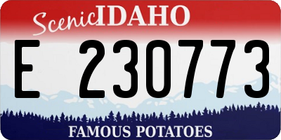 ID license plate E230773