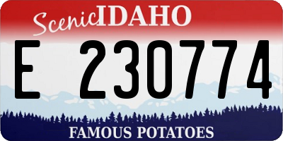 ID license plate E230774