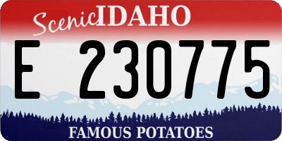 ID license plate E230775