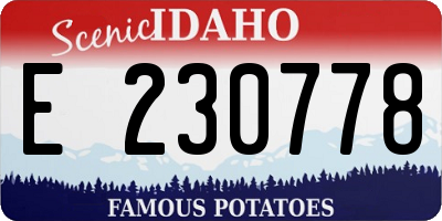 ID license plate E230778