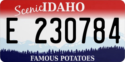 ID license plate E230784