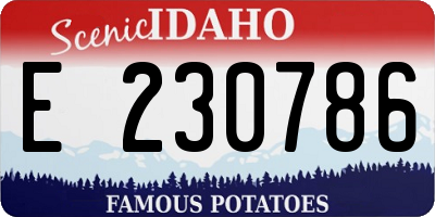 ID license plate E230786