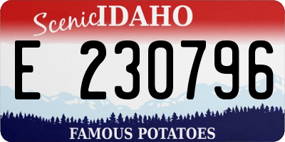 ID license plate E230796