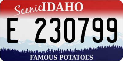 ID license plate E230799