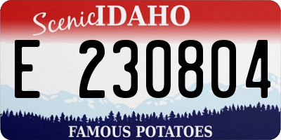 ID license plate E230804