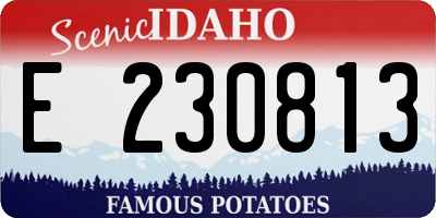 ID license plate E230813
