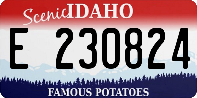ID license plate E230824