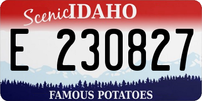 ID license plate E230827