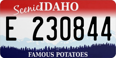 ID license plate E230844
