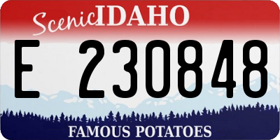 ID license plate E230848
