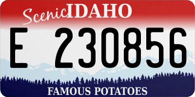 ID license plate E230856