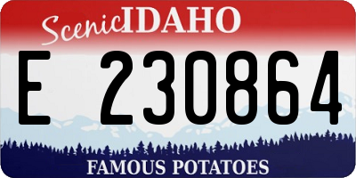 ID license plate E230864
