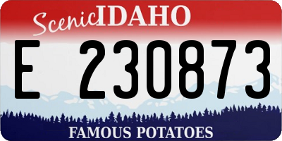 ID license plate E230873