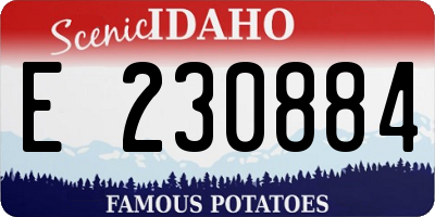 ID license plate E230884