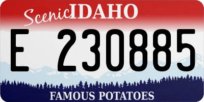 ID license plate E230885