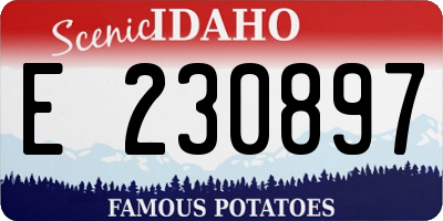 ID license plate E230897