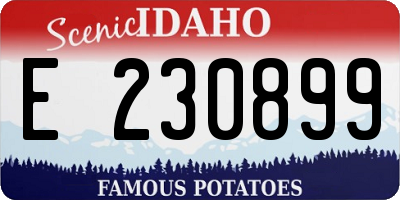 ID license plate E230899