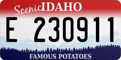 ID license plate E230911
