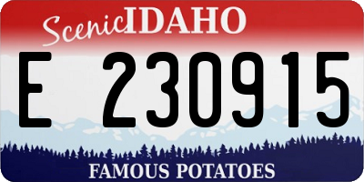 ID license plate E230915
