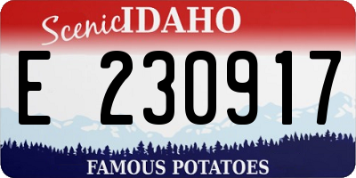 ID license plate E230917