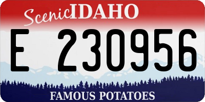 ID license plate E230956