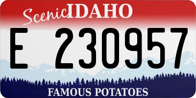 ID license plate E230957