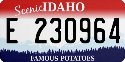 ID license plate E230964