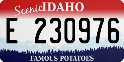 ID license plate E230976