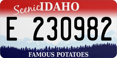 ID license plate E230982