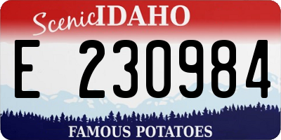 ID license plate E230984