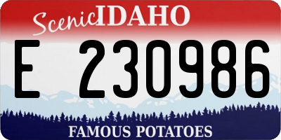 ID license plate E230986