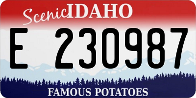 ID license plate E230987