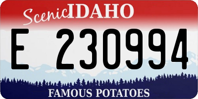 ID license plate E230994