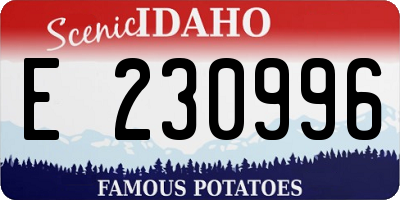 ID license plate E230996