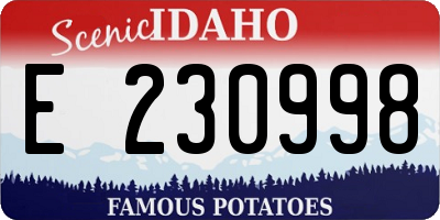 ID license plate E230998