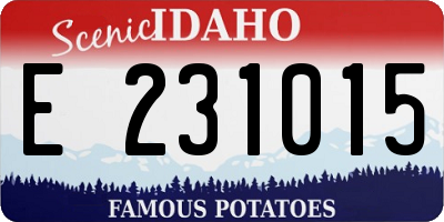 ID license plate E231015