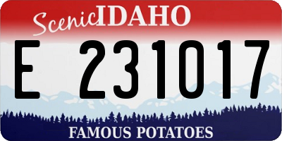 ID license plate E231017