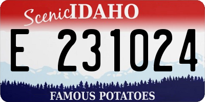 ID license plate E231024