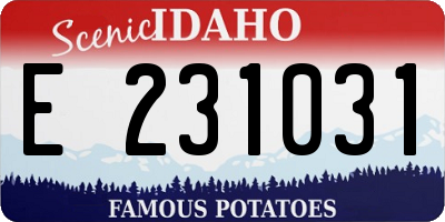 ID license plate E231031