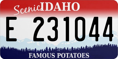 ID license plate E231044