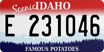 ID license plate E231046