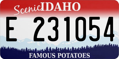 ID license plate E231054