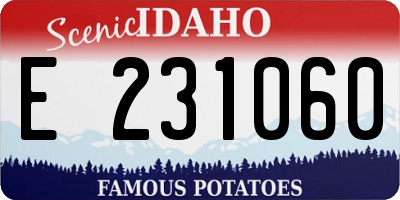 ID license plate E231060