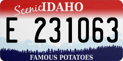 ID license plate E231063