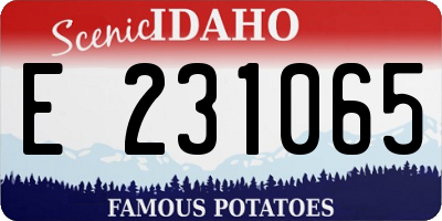 ID license plate E231065
