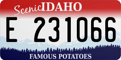 ID license plate E231066