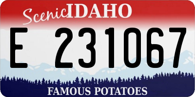 ID license plate E231067