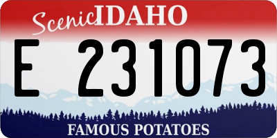 ID license plate E231073