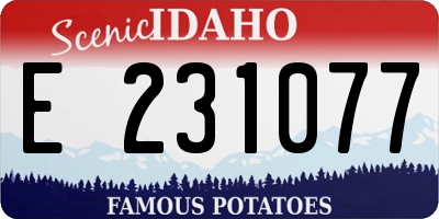 ID license plate E231077