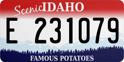 ID license plate E231079